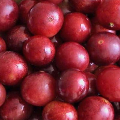 Organic-Camu-camu-Frozen