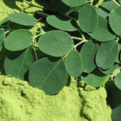 Organic-Moringa-Oleifera-Leaf-Powder (1)