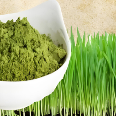 Organic_Wheatgrass_Powder