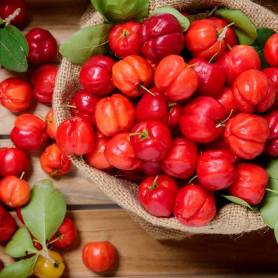 template-produtos-ecomm